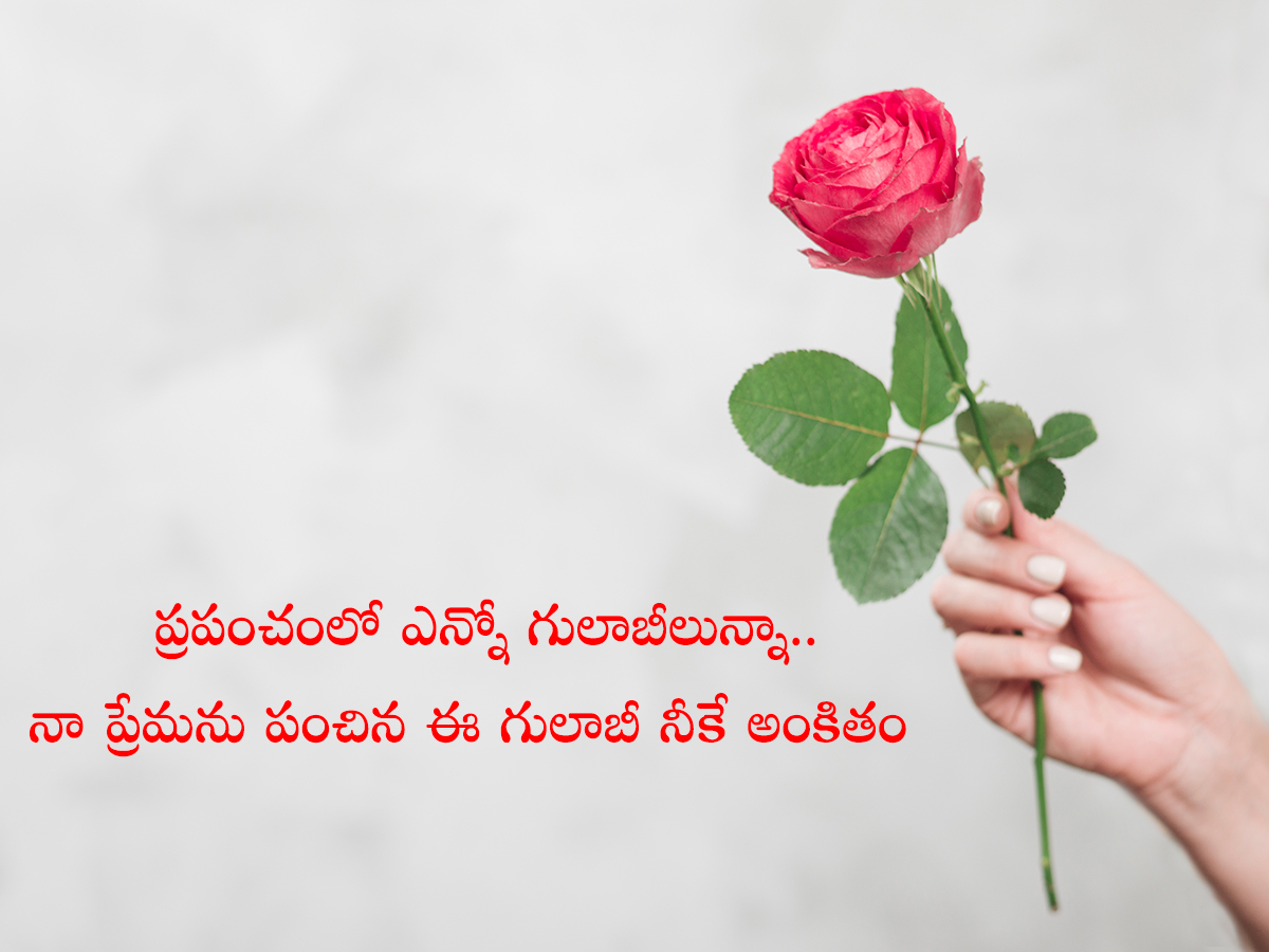 Happy Rose Day Quotes To Wish Your Valentine5