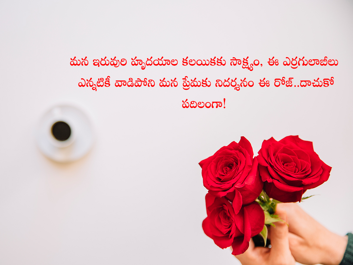 Happy Rose Day Quotes To Wish Your Valentine6