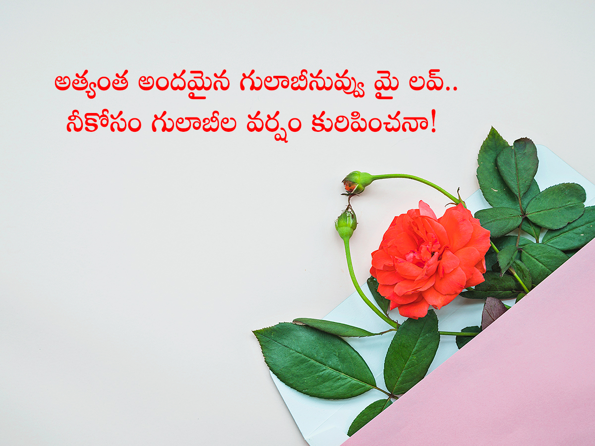 Happy Rose Day Quotes To Wish Your Valentine7