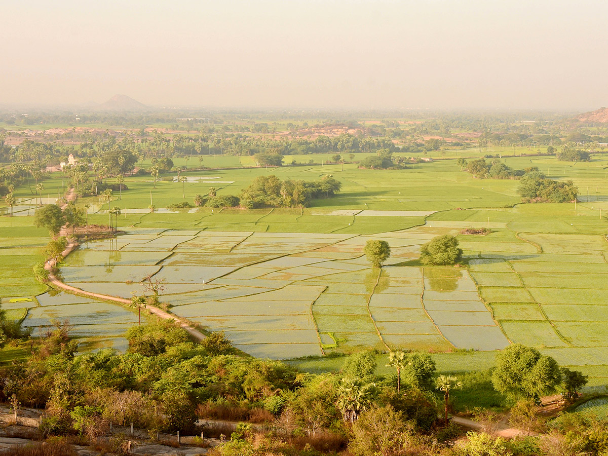 Best Photos of The Week in AP and Telangana Photo Gallery104