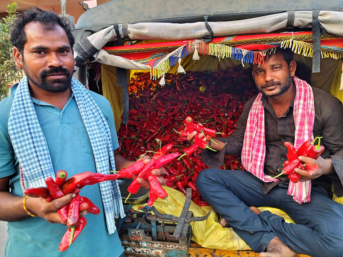 Best Photos of The Week in AP and Telangana Photo Gallery21