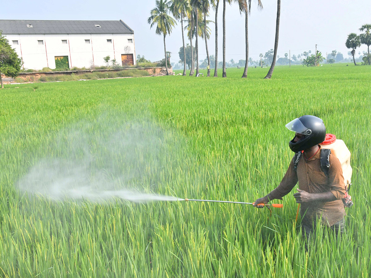 Best Photos of The Week in AP and Telangana Photo Gallery36