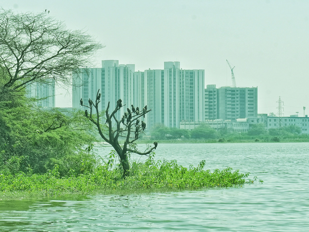 Best Photos of The Week in AP and Telangana Photo Gallery64