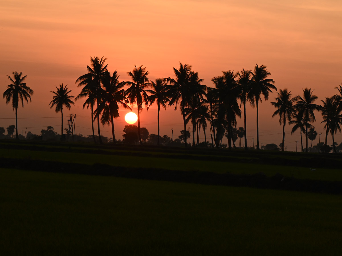 Best Photos of The Week in AP and Telangana Photo Gallery66