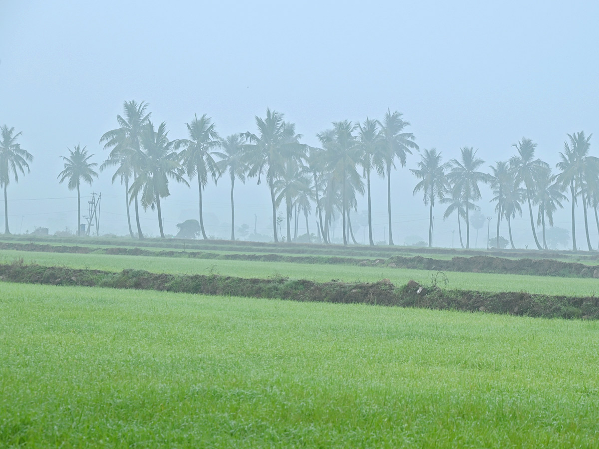 Best Photos of The Week in AP and Telangana Photo Gallery67