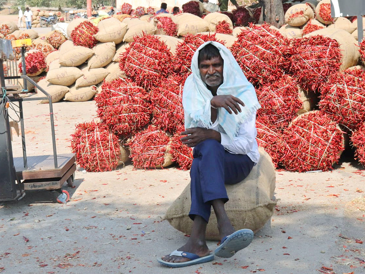 Best Photos of The Week in AP and Telangana Photo Gallery98