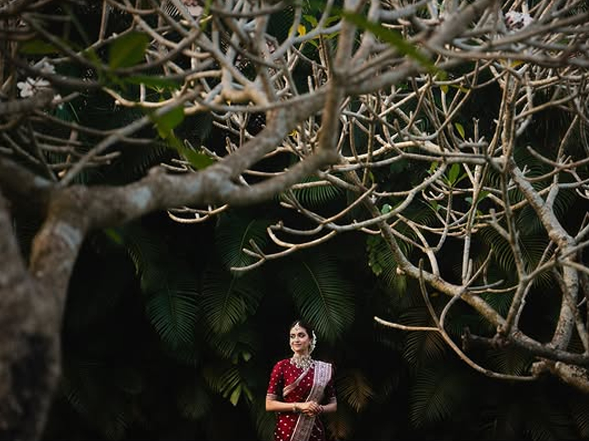 Keerthy Suresh looks stunning in her bridal saree5