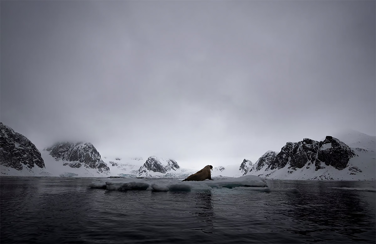 The 2025 World Nature Photography Awards winners10