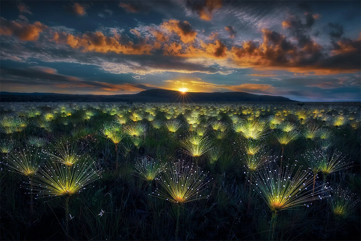 The 2025 World Nature Photography Awards winners11