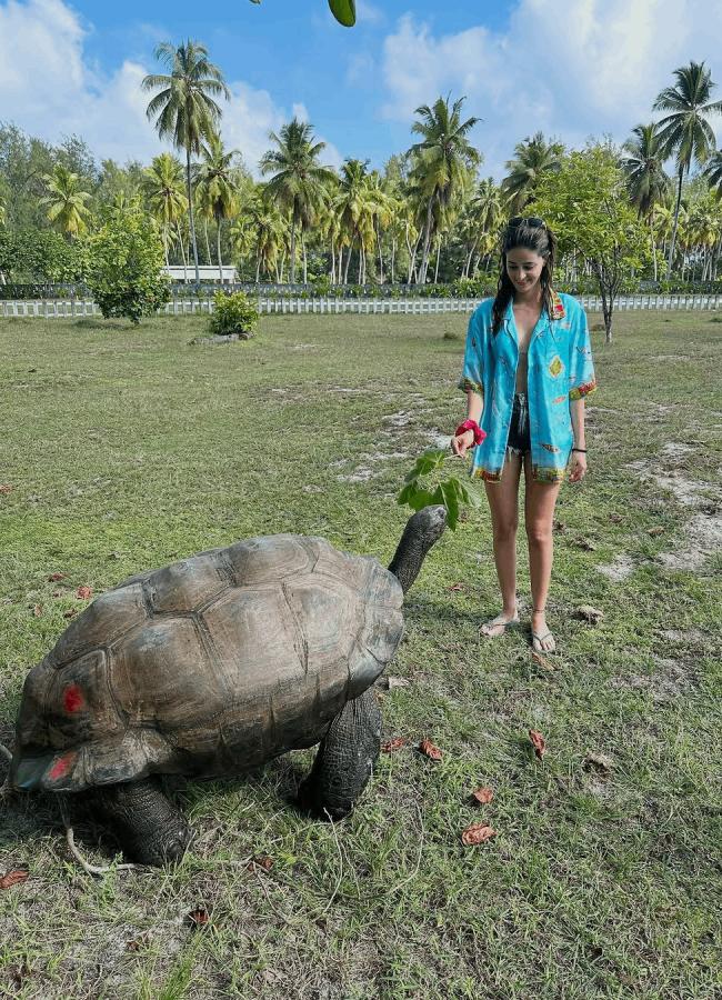 Ananya Panday Shares Photos Of Her Vacation In Seychelles3