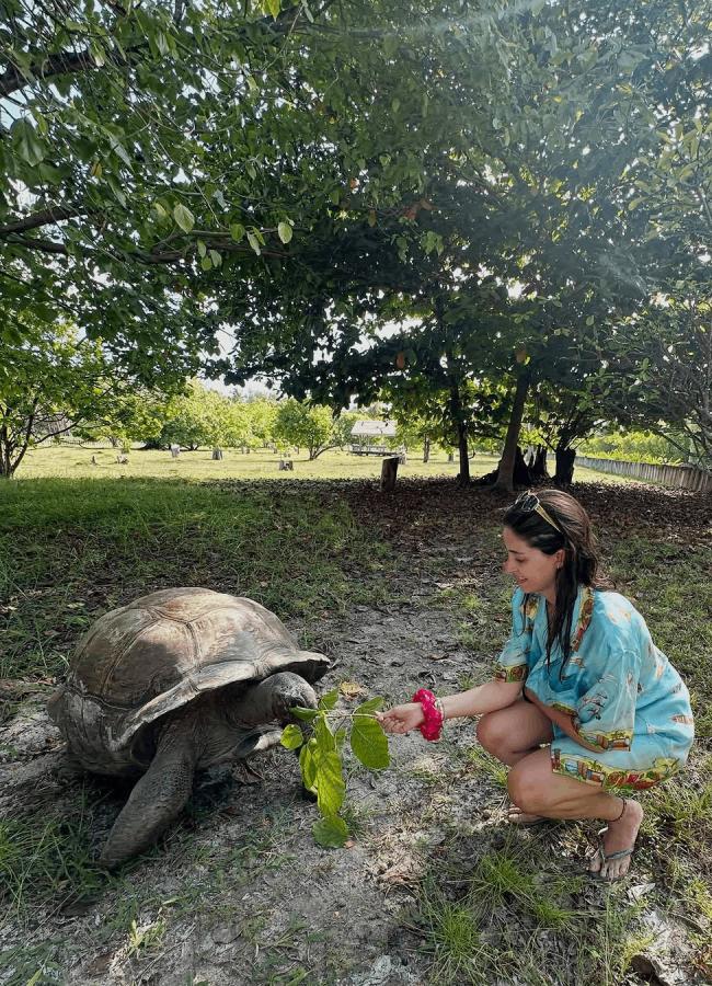 Ananya Panday Shares Photos Of Her Vacation In Seychelles4