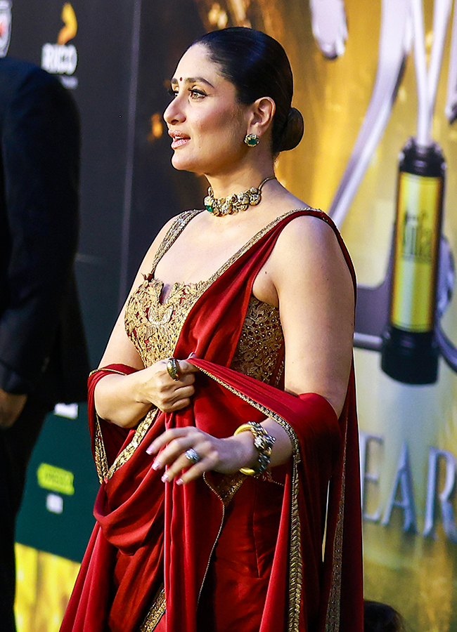 IIFA Awards Ceremony in Jaipur Photos6