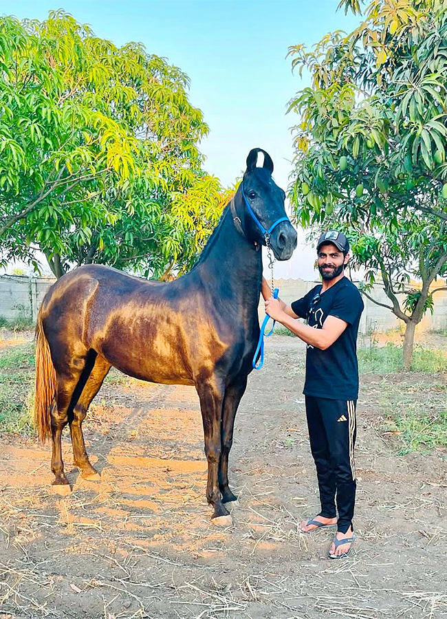 Ravindra Jadeja Rides Horse at his Farm House2