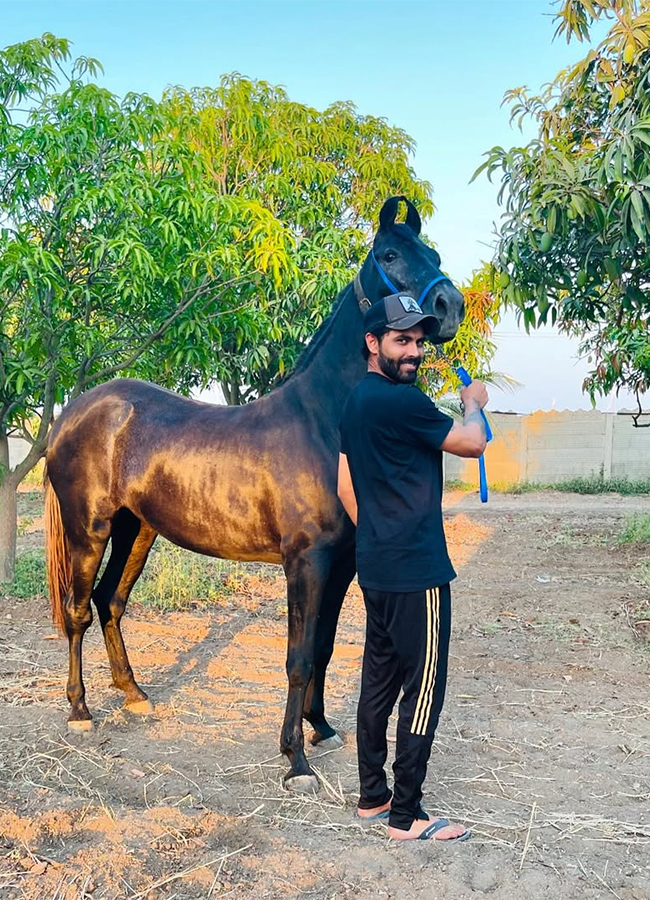 Ravindra Jadeja Rides Horse at his Farm House4