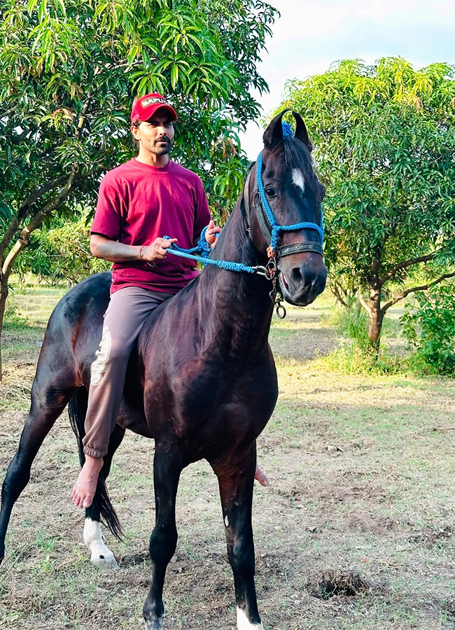 Ravindra Jadeja Rides Horse at his Farm House8