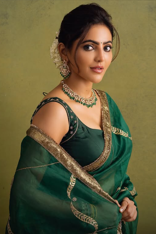 Athulyaa Ravi elegant in saree photos2