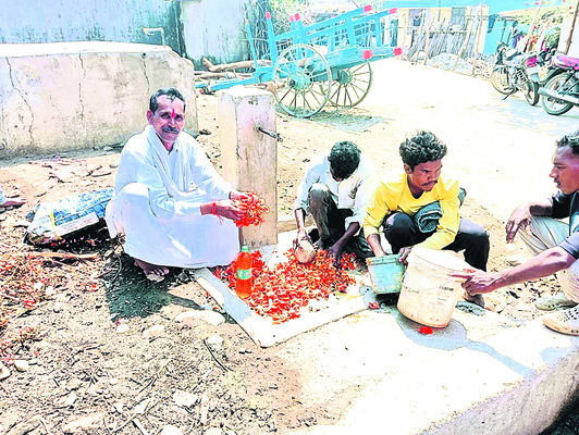 సహజ హోలీ.. సంతోషాల కేళి1