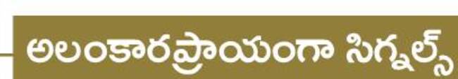 మున్సిపాలిటీ స్వరూపం.. 5