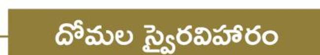 మున్సిపాలిటీ స్వరూపం.. 7