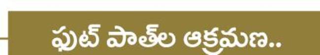 మున్సిపాలిటీ స్వరూపం.. 8