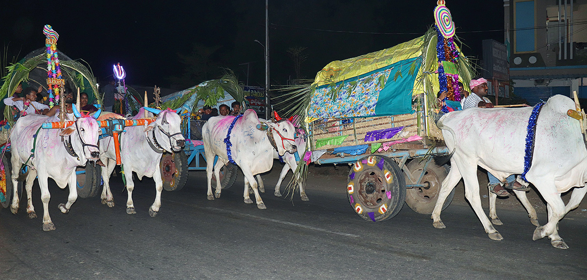 Warangal Kommala Jatara 2025 Photos7