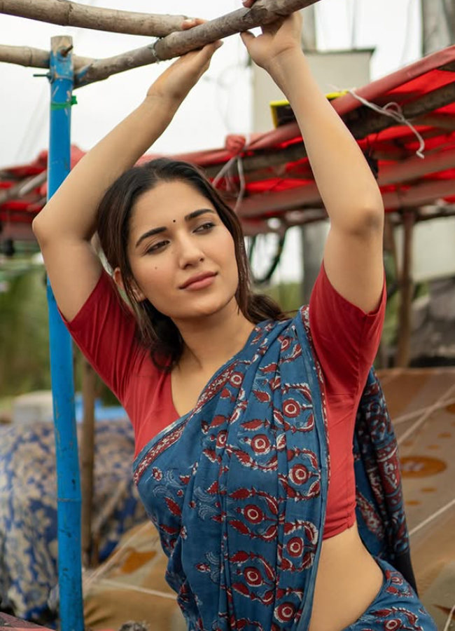 Ruhani Sharma simple and classic saree photos8