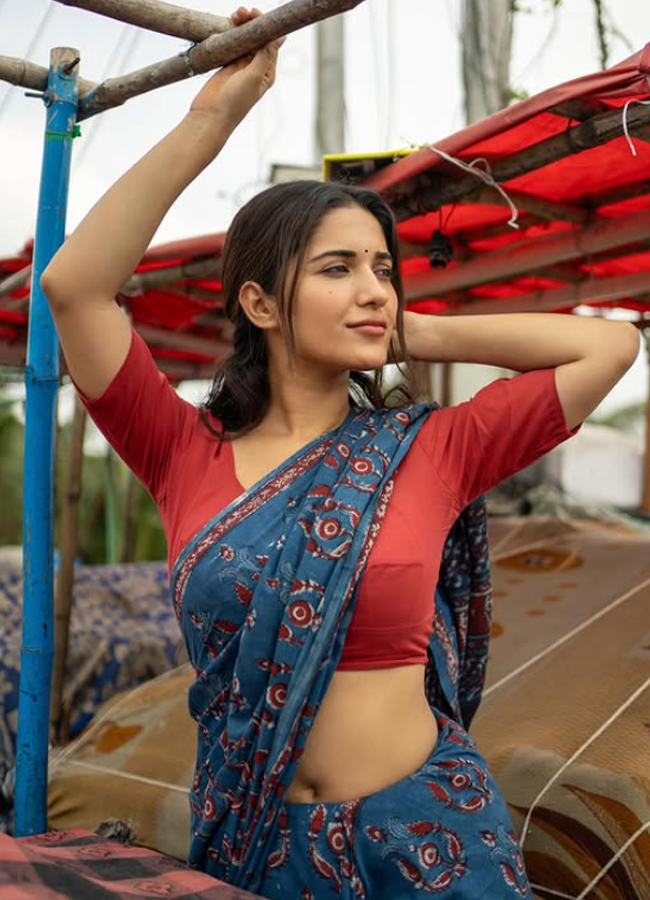 Ruhani Sharma simple and classic saree photos3