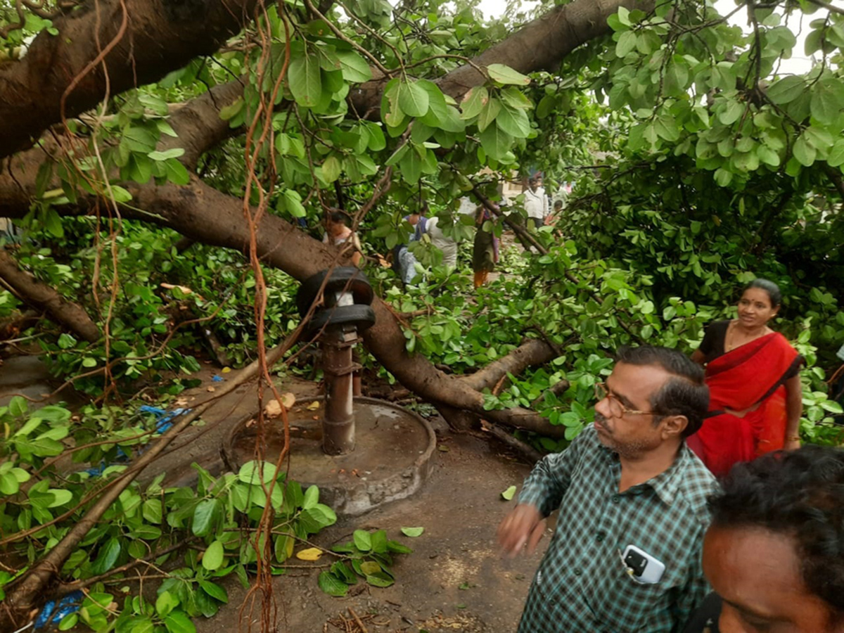 Vadagalla Vana In Telangana Photos13