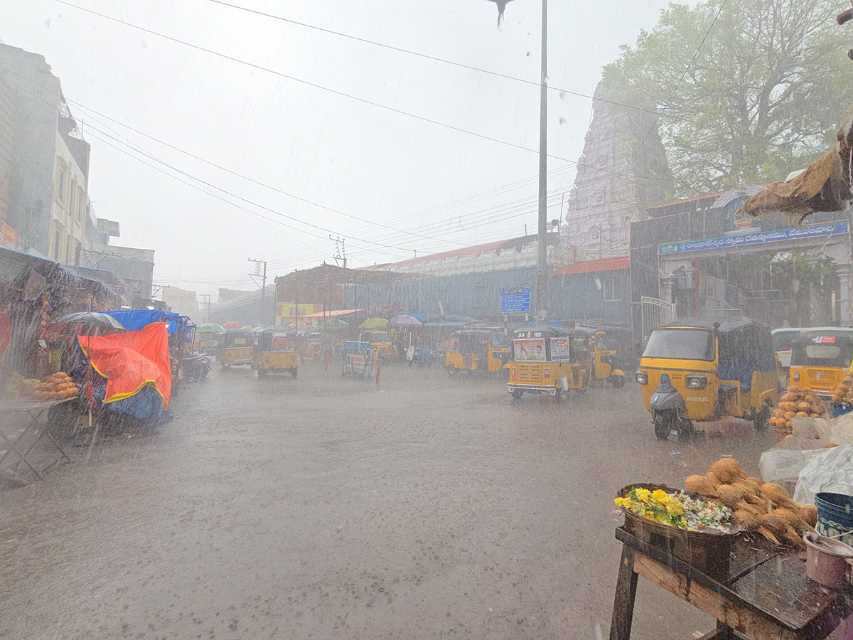 Vadagalla Vana In Telangana Photos16