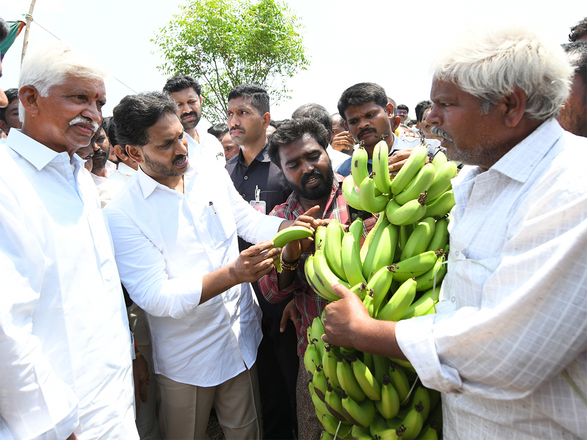 YS Jagan Support Farmers Pulivendula Photos1