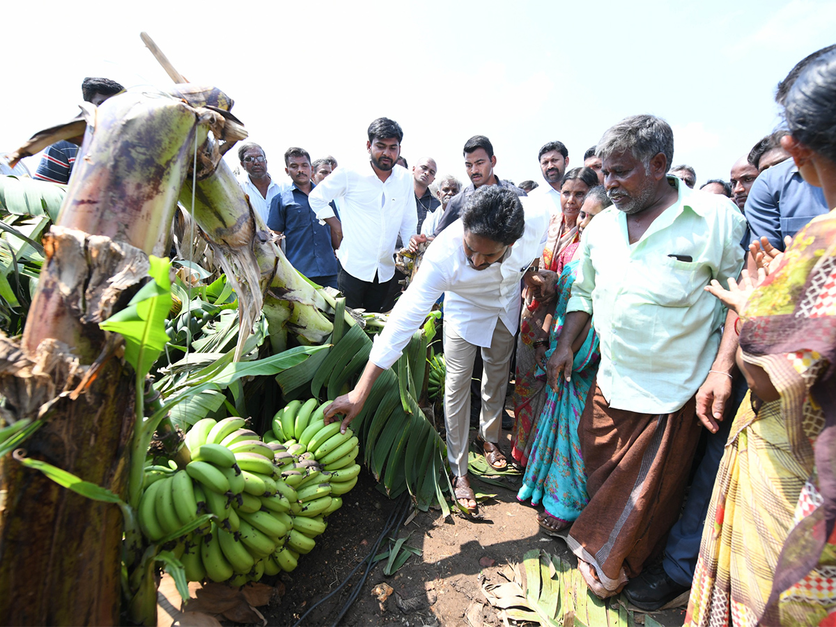 YS Jagan Support Farmers Pulivendula Photos19
