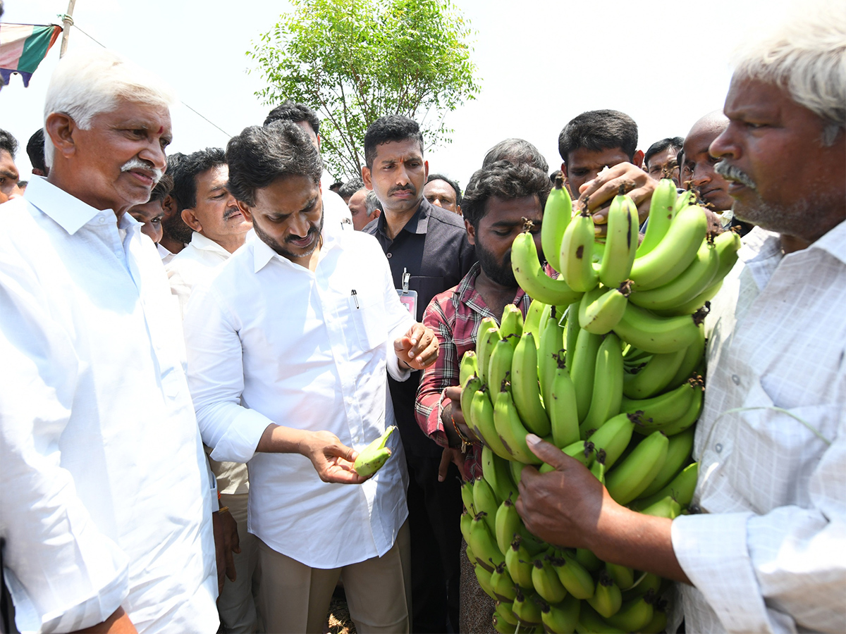 YS Jagan Support Farmers Pulivendula Photos34