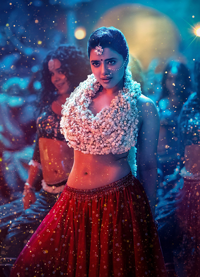 Nithin Robinhood Movie HD Stills HD3