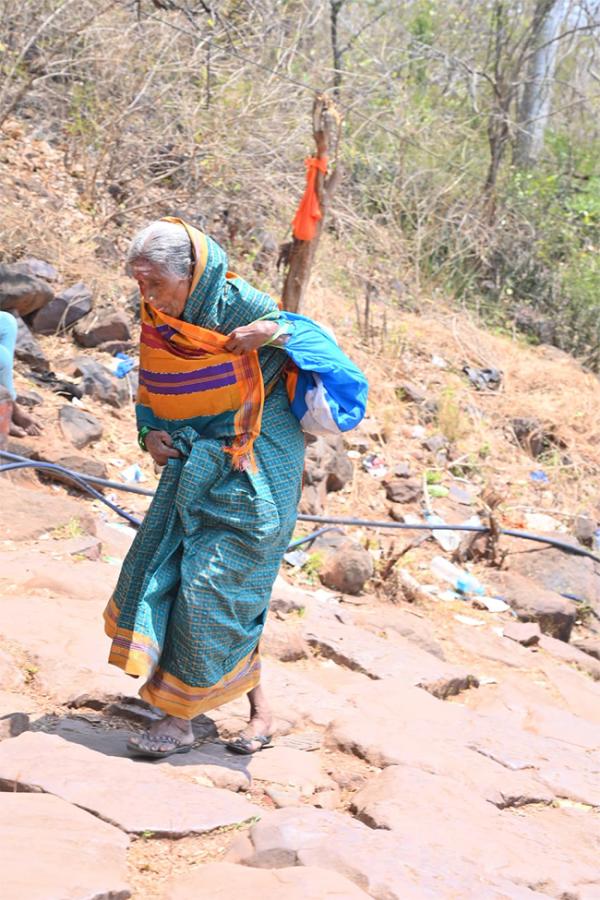 Ugadi Mahotsavam Starts In Srisailam Photos10