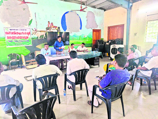 వెండి వెలుగుల మండి బజార్1