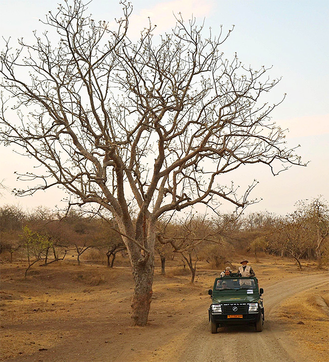 Prime Minister Narendra Modi lion safari at Gir Wildlife Sanctuary10