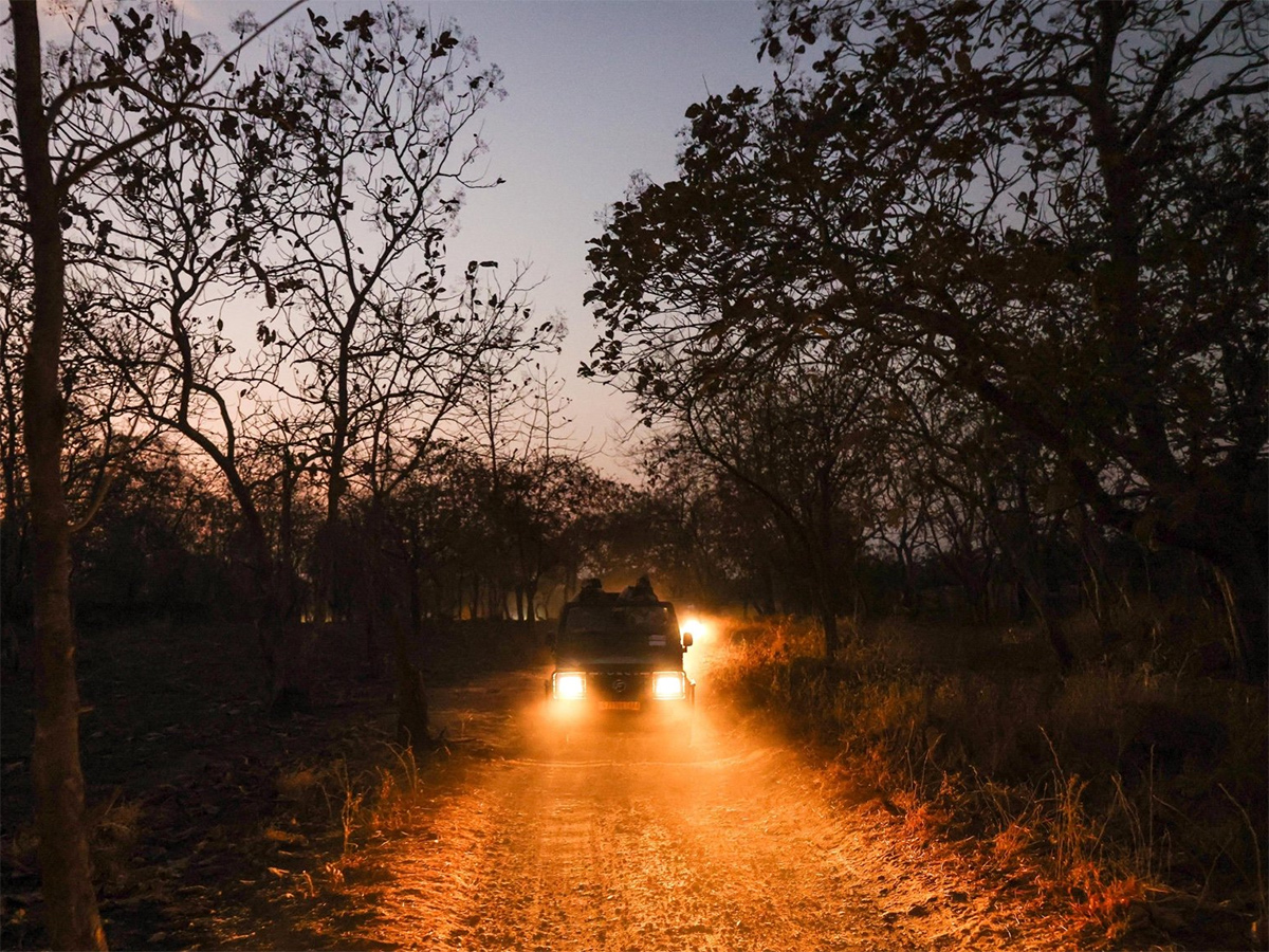 Prime Minister Narendra Modi lion safari at Gir Wildlife Sanctuary11