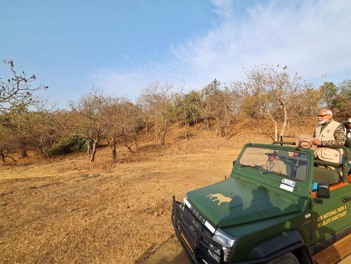 Prime Minister Narendra Modi lion safari at Gir Wildlife Sanctuary13