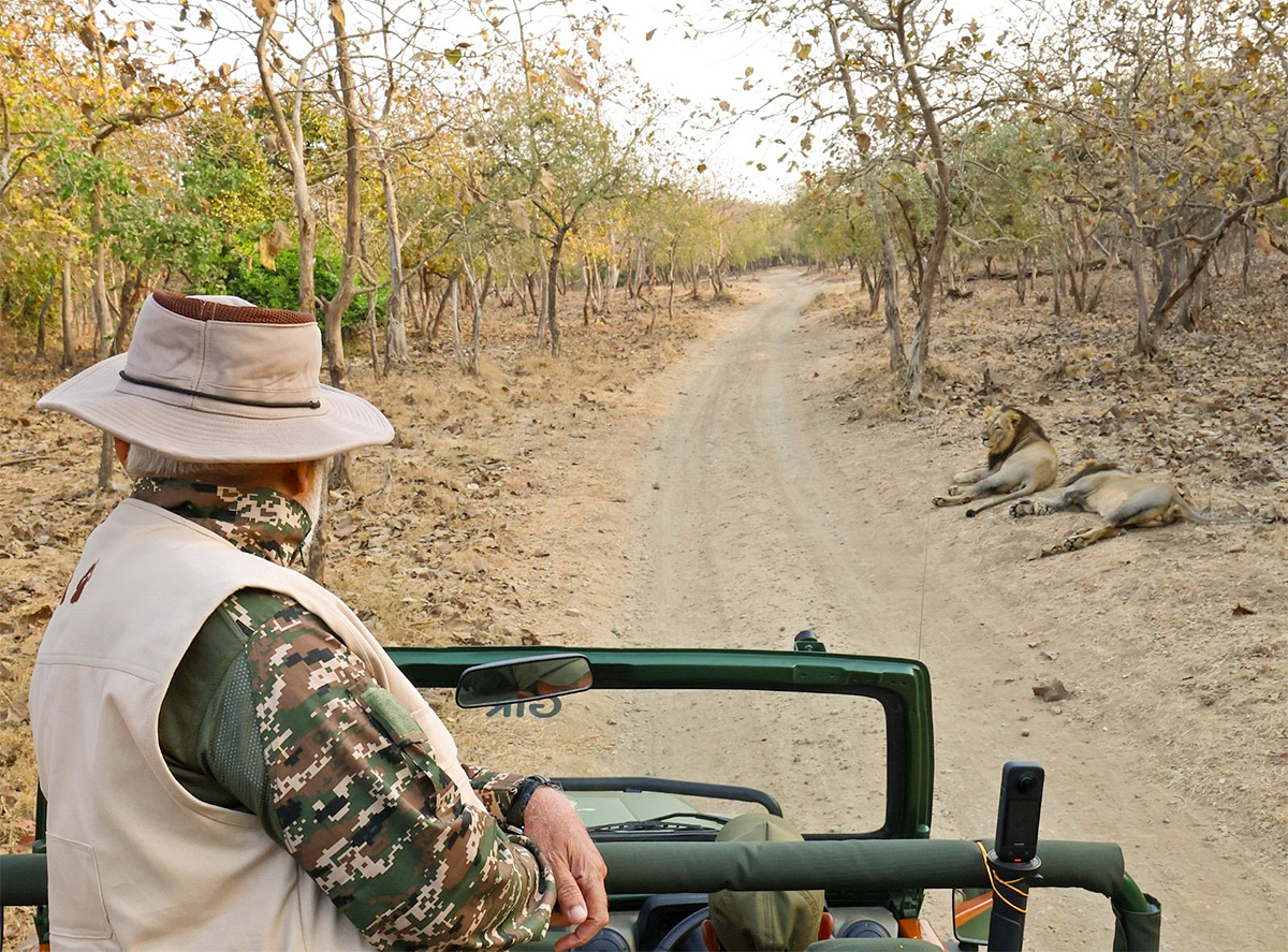 Prime Minister Narendra Modi lion safari at Gir Wildlife Sanctuary15