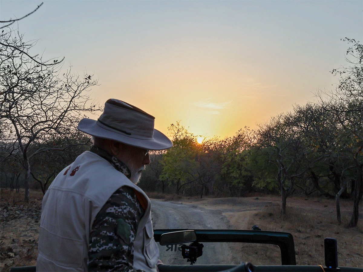 Prime Minister Narendra Modi lion safari at Gir Wildlife Sanctuary16