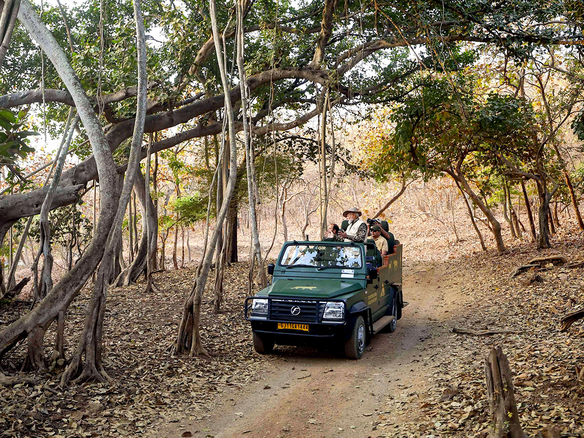 Prime Minister Narendra Modi lion safari at Gir Wildlife Sanctuary17