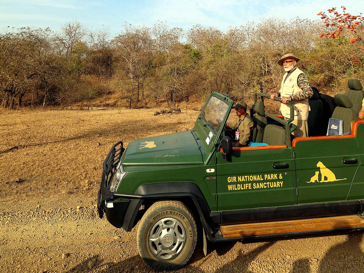 Prime Minister Narendra Modi lion safari at Gir Wildlife Sanctuary18