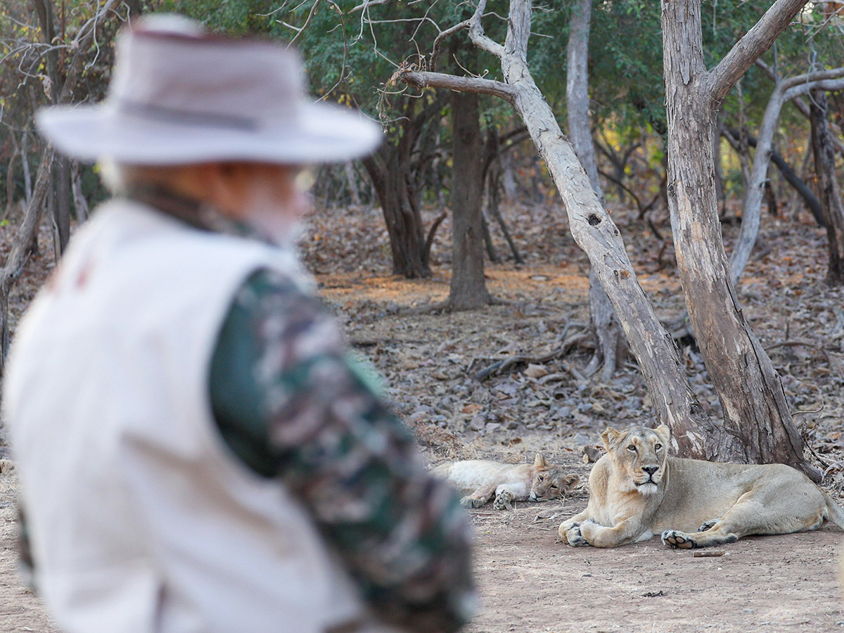 Prime Minister Narendra Modi lion safari at Gir Wildlife Sanctuary2