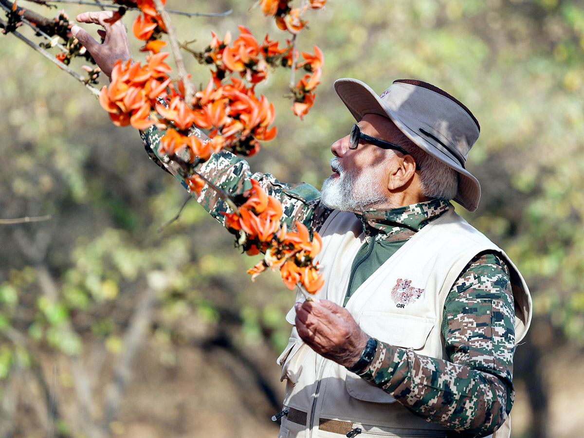 Prime Minister Narendra Modi lion safari at Gir Wildlife Sanctuary20