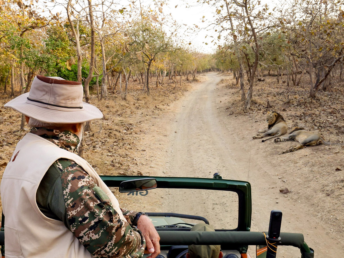 Prime Minister Narendra Modi lion safari at Gir Wildlife Sanctuary3