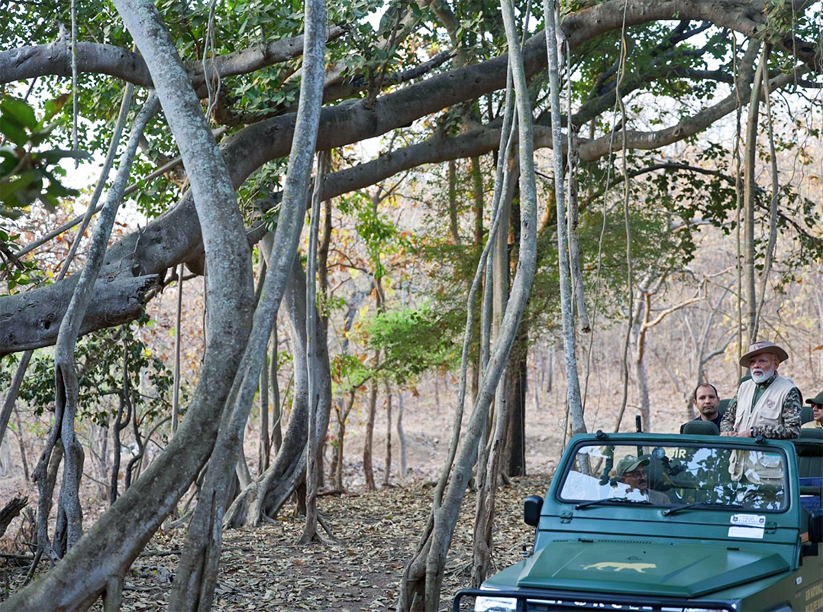 Prime Minister Narendra Modi lion safari at Gir Wildlife Sanctuary6