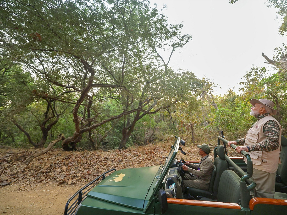 Prime Minister Narendra Modi lion safari at Gir Wildlife Sanctuary9