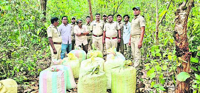 బాలికపై అత్యాచారం కేసులో ఫారెస్టర్ అరెస్టు 1