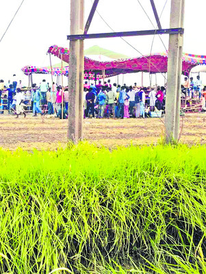 ఉగాది నాడూ బరి తెగించారు1