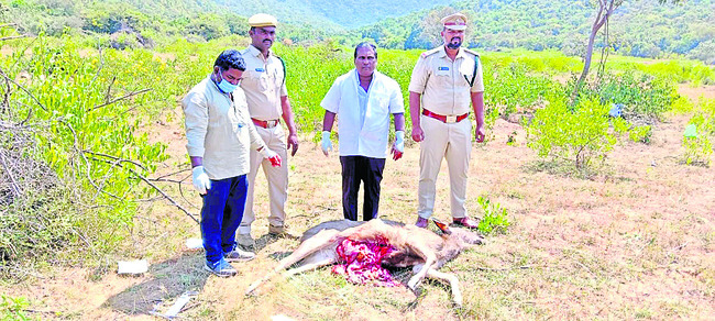 ఆటో డ్రైవర్‌ నిజాయితీ 1